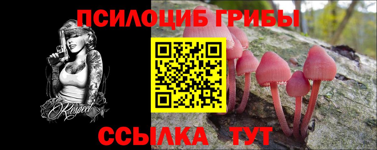 Псилоцибиновые грибы Cubensis Симферополь